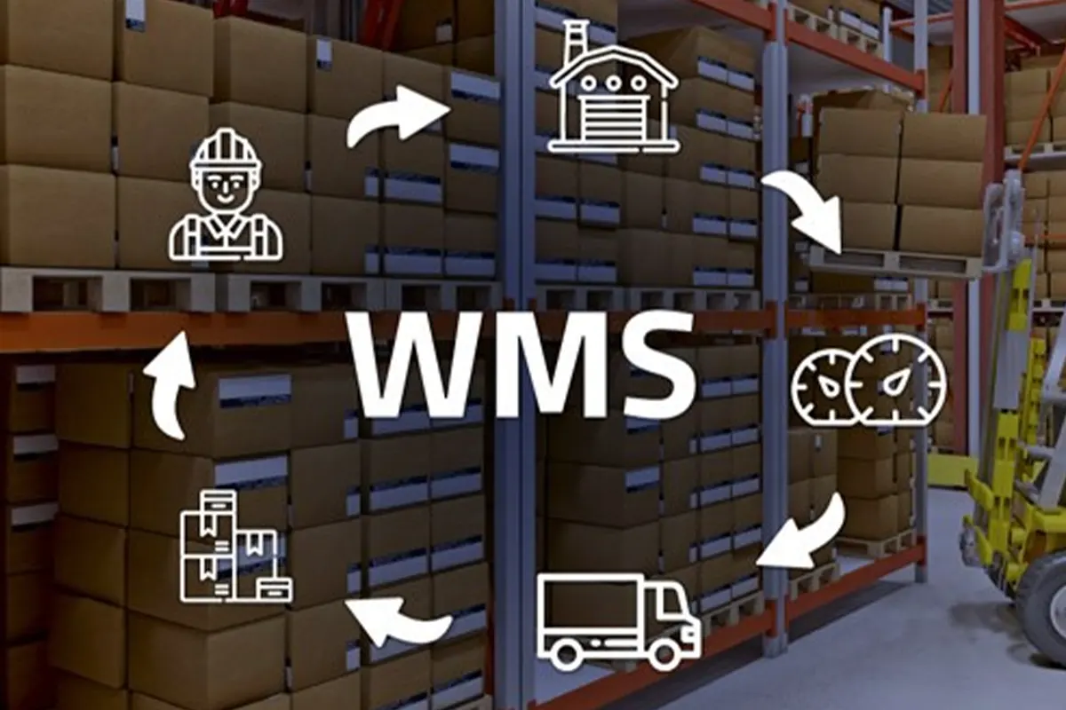  انواع سیستم‌های مدیریت انبار (WMS)